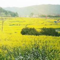 浙江宏泰電子設(shè)備有限公司