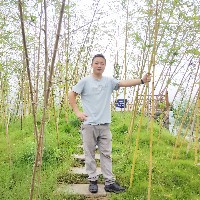 鄭志簡(jiǎn)歷