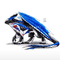 黃浩帆簡歷