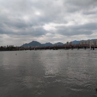 查看《駱麗麗》簡歷