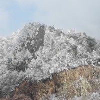 胡輝簡(jiǎn)歷