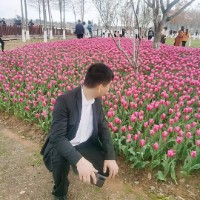 查看《王順陽》簡歷
