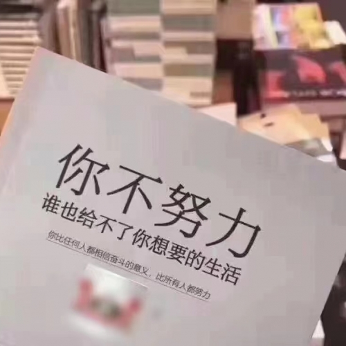 南女士簡歷