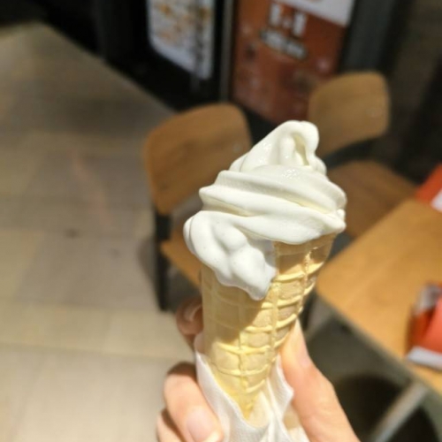 查看《吳慧麗》簡歷