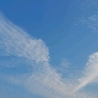 鄧先生簡(jiǎn)歷