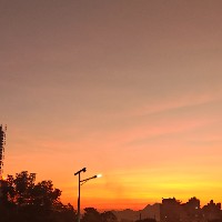 查看《劉瓊燕》簡歷